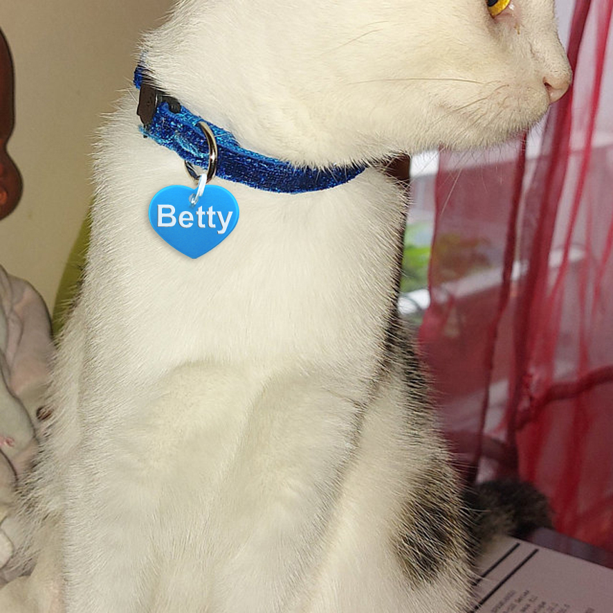 médaille chat coeur bleu