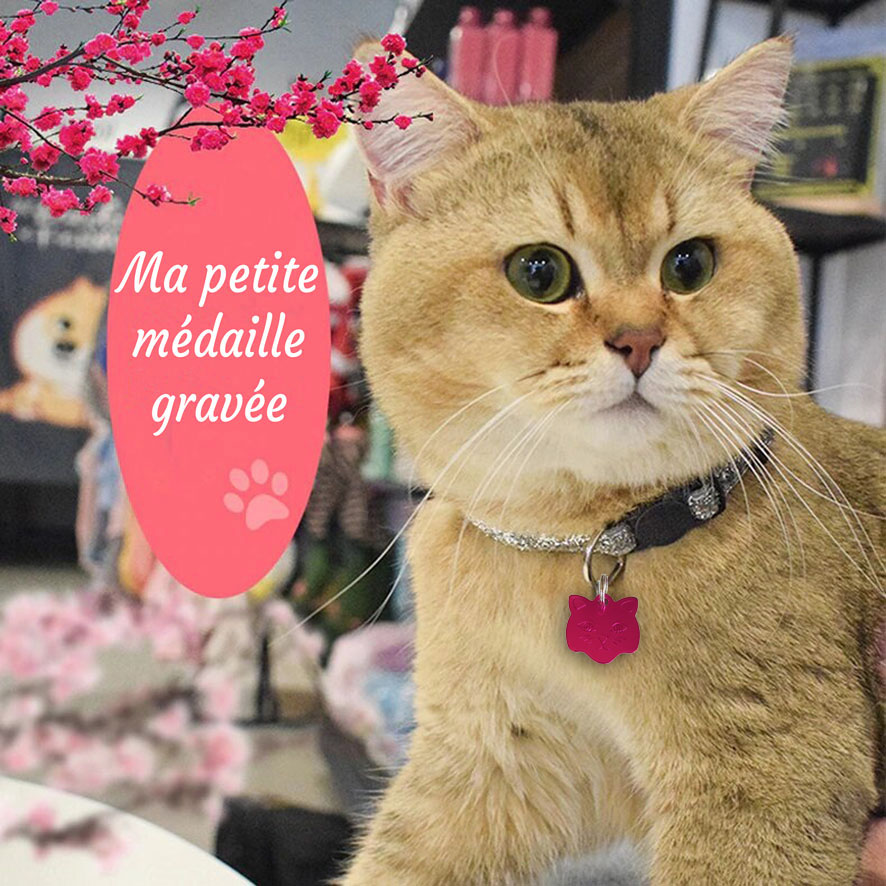 Petite medaille a personnaliser pour chat