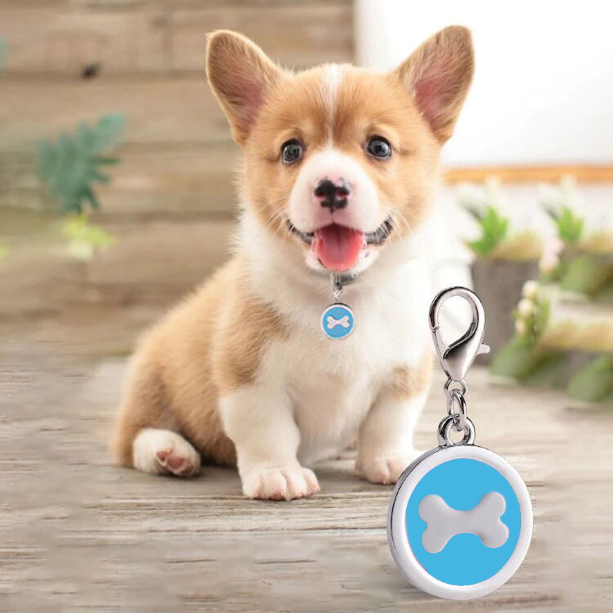 Medaille chien personnalisable bleue