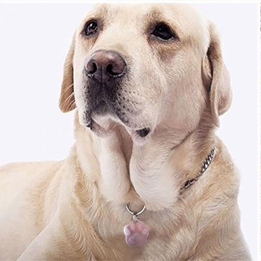 Medaillon idétentité gravure pour chien