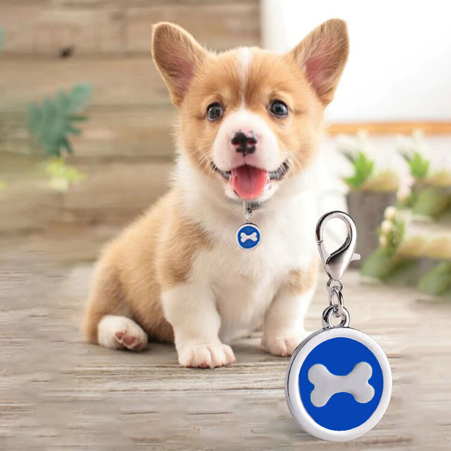 medaillon plaque a graver nom chien animal