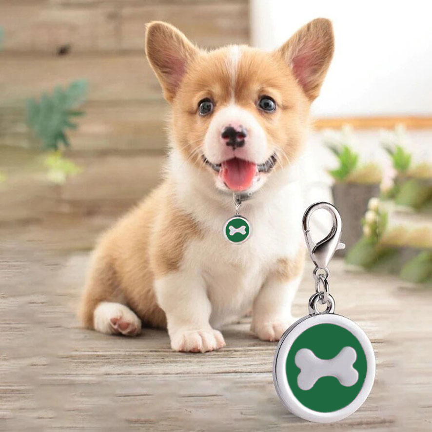 medaille os à graver chien