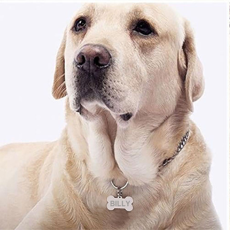Identité medaille chien à graver