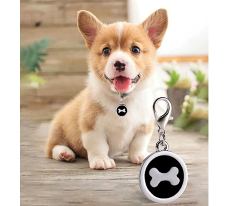 Médaille identitée pour chien et chat