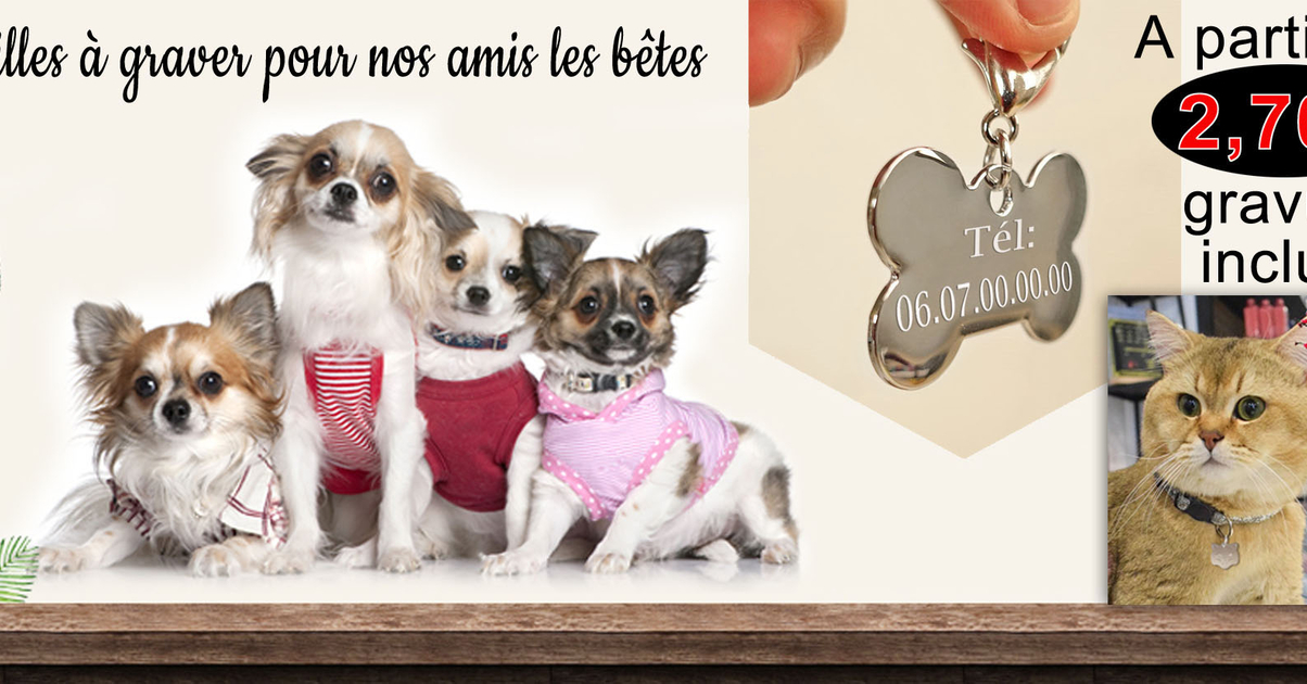 Médaille Ancienne Société Canine Midi Côte D’Azur – Monnaie De Paris