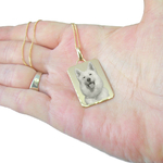 Gravure de mon chien sur un collier