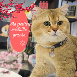 Petite medaille a personnaliser pour chat