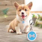 Medaille chien personnalisable bleue