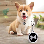 medaille gravée nom animal chien