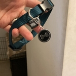 Médaille os noir personnalisé chien