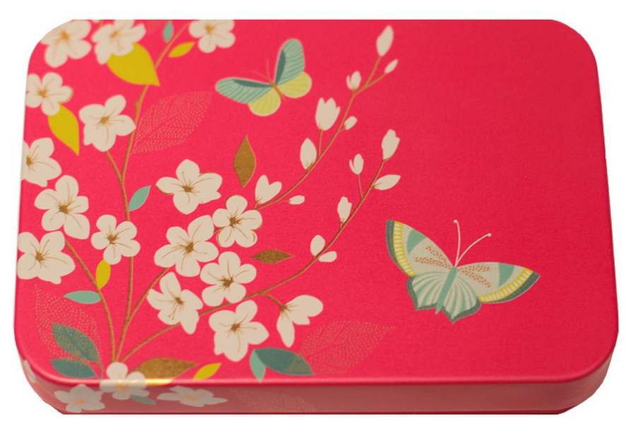 HISTOIRE DAVANT BOITE METAL PAPILLONS COULEUR ROSE