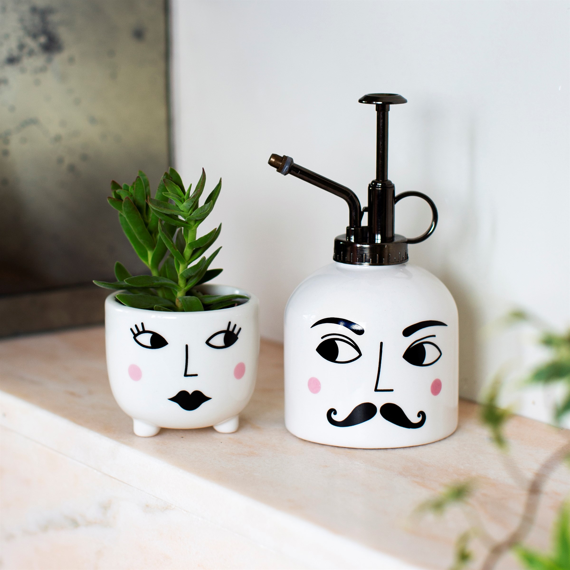 HISTOIRE DAVANT VAPORISATEUR MR MOUSTACHE ET CACHE POT MME BEAUX YEUX 3