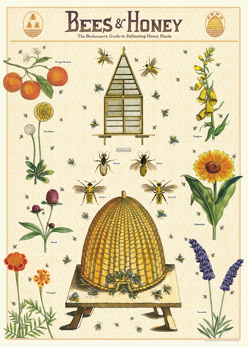 AFFICHE VINTAGE CAVALLINI LES ABEILLES ET LE MIEL 50X70CMS