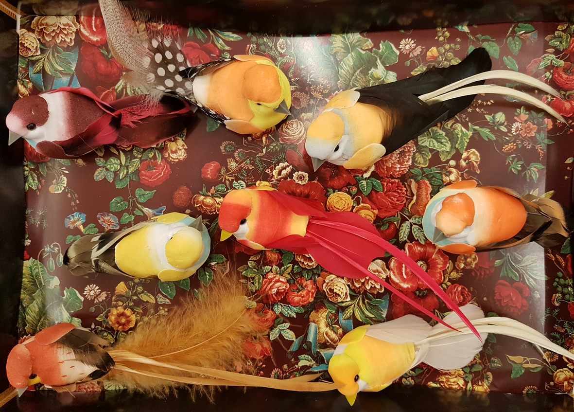 histoire-d-avant-boite-oiseaux-orange-jaune