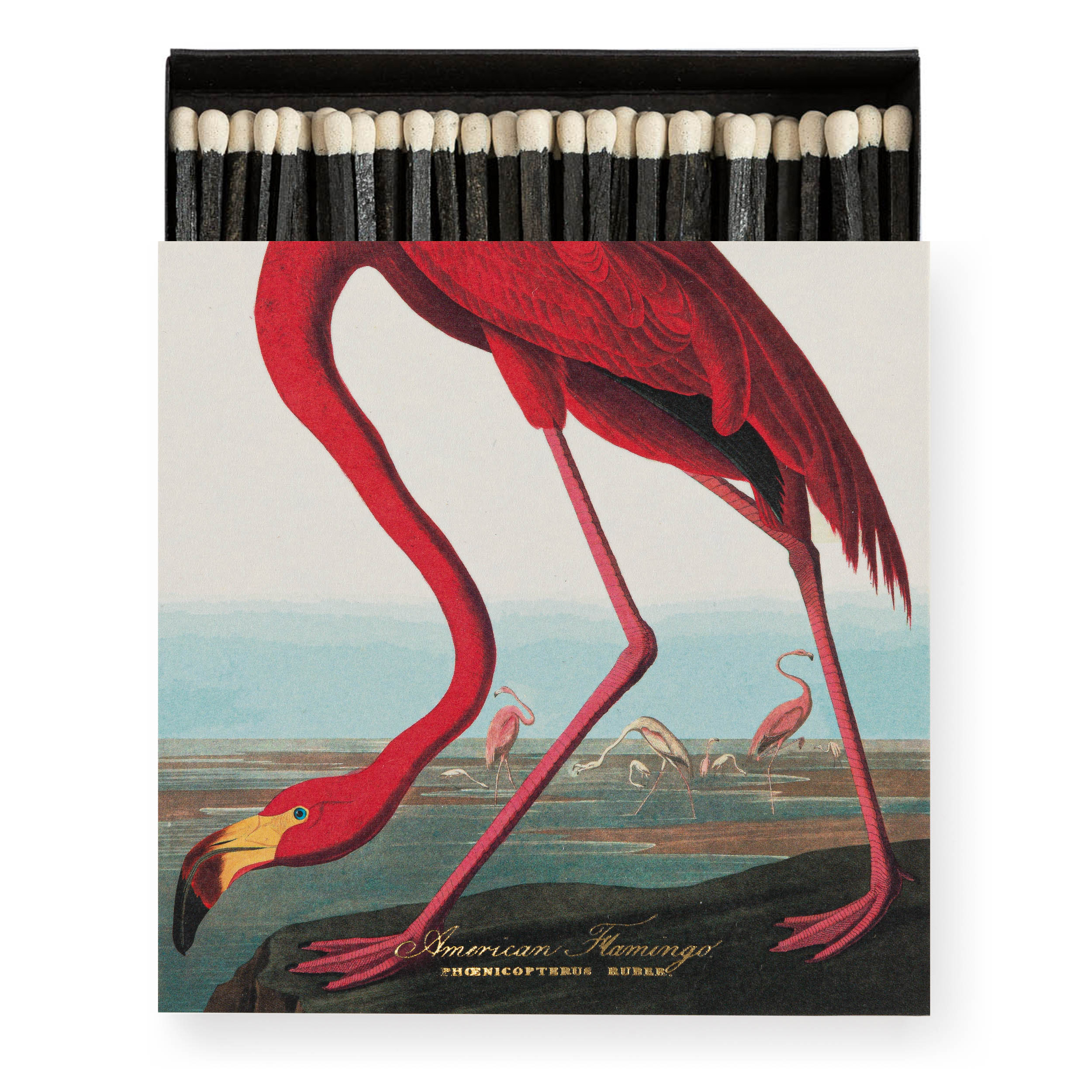 histoire_d_avant_boite_allumettes_de_luxe_Archivist_Gallery_&amp;_John_J_Audubon_le_flamant_rose_d_amerique