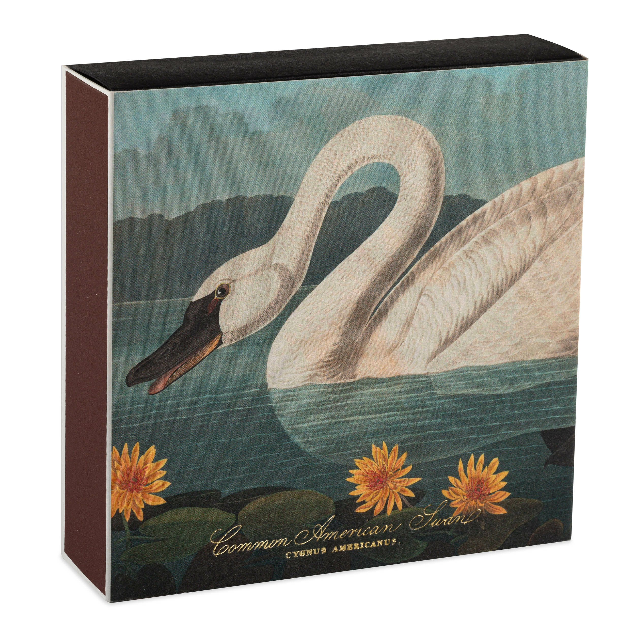 histoire_d_avant_boite_allumettes_de_luxe_Archivist_Gallery_&amp;_John_J_Audubon_le_cygne_commun_d_amerique_2