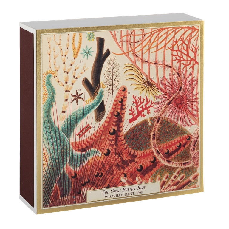 histoire_d_avant_boite_allumettes_de_luxe_Archivist_Gallery_&amp;_William_Saville_Kent_la_barriere_de_corail_2