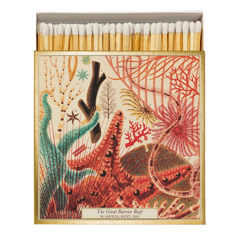 histoire_d_avant_boite_allumettes_de_luxe_Archivist_Gallery_&amp;_William_Saville_Kent_la_barriere_de_corail