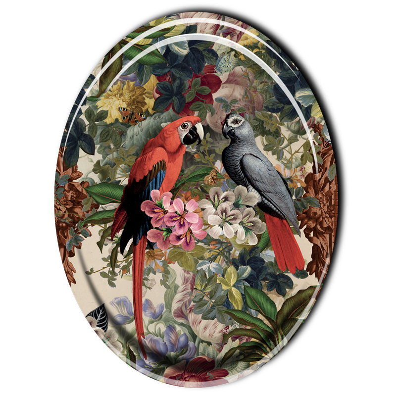 histoire_d_avant_plateau_perroquets_ovale_voglio_bene_1