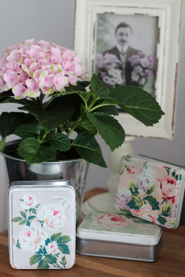HISTOIRE DAVANT BOITE FLEURS 2