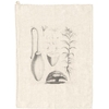 TORCHON PLANCHE ANCIENNE NATUREL
