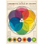 HISTOIRE DAVANT AFFICHE VINTAGE CAVALLINI CHROMATIQUE 50X70CMS 2