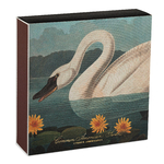 histoire_d_avant_boite_allumettes_de_luxe_Archivist_Gallery_&_John_J_Audubon_le_cygne_commun_d_amerique_2