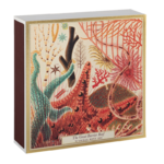 histoire_d_avant_boite_allumettes_de_luxe_Archivist_Gallery_&_William_Saville_Kent_la_barriere_de_corail_2