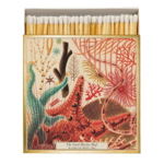 histoire_d_avant_boite_allumettes_de_luxe_Archivist_Gallery_&_William_Saville_Kent_la_barriere_de_corail