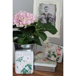 HISTOIRE DAVANT BOITE FLEURS 2