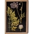 HISTOIRE DAVANT BOITE CARTON PLANCHE BOTANIQUE FLEURS SAUVAGES