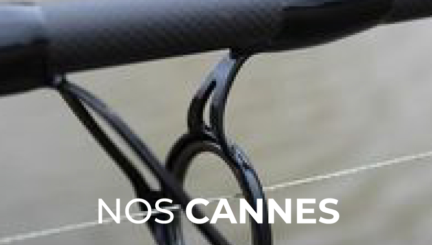 canne