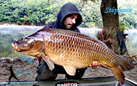 stephane