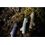Plombs Carpe 250g X12 – Branche Avec Revêtement Bois, Neufs, Pour Pêche