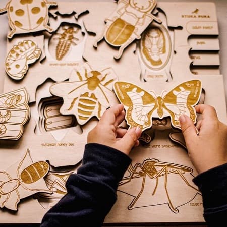 stukapuka-puzzle-insectes-apprentissages-ief-montessori-enfant