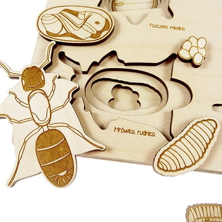 stukapuka-puzzle-insectes-apprentissages