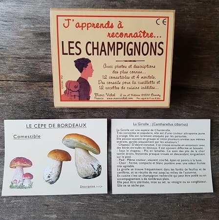 cartes-marc-vidal-japprends-a-reconnaitre-les-champignons-jeu-educatif-1
