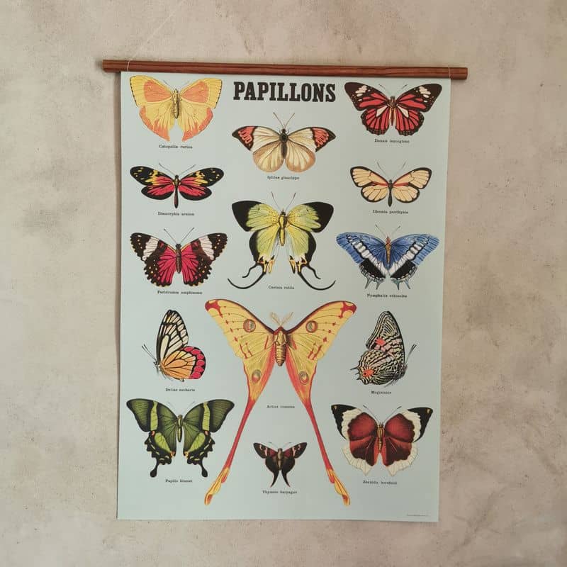 affiche-cavallini-papillon