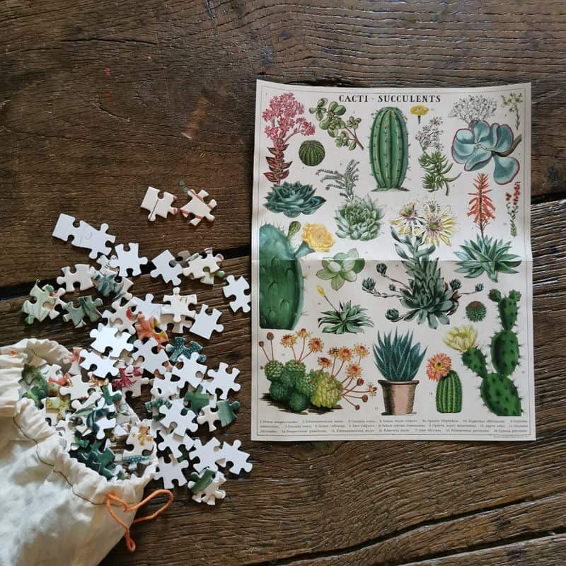 puzzle-1000-pieces-cavallini-cactus-jouetsucculentes