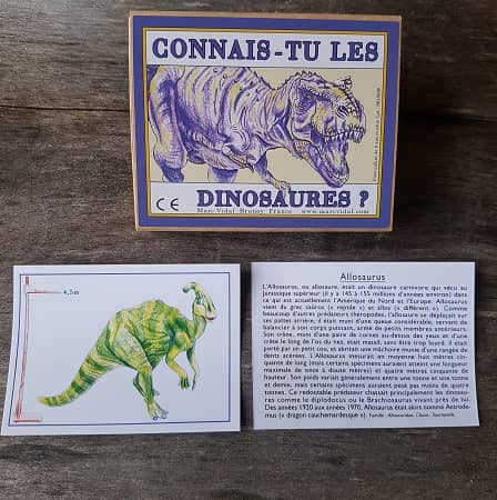 cartes-marc-vidal-connais-tu-les-dinosaures-jeu-educatif-1