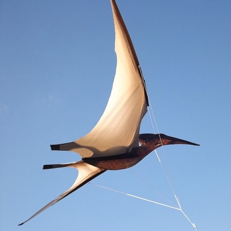 cerf-volant-pterodactyle-jurassic-enfant
