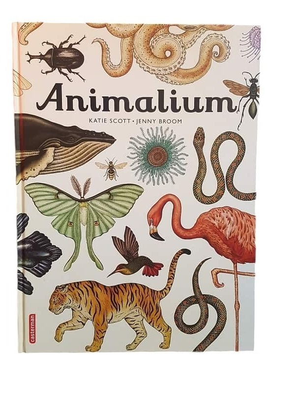 animalium-litterature-jeunesse-ief-ok