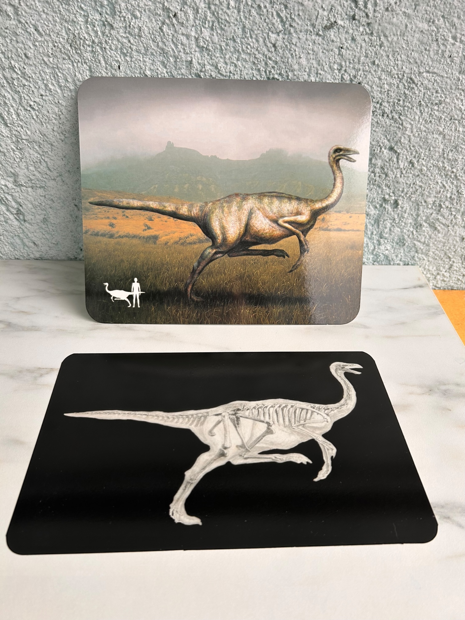 RADIO DINOSAURES 1