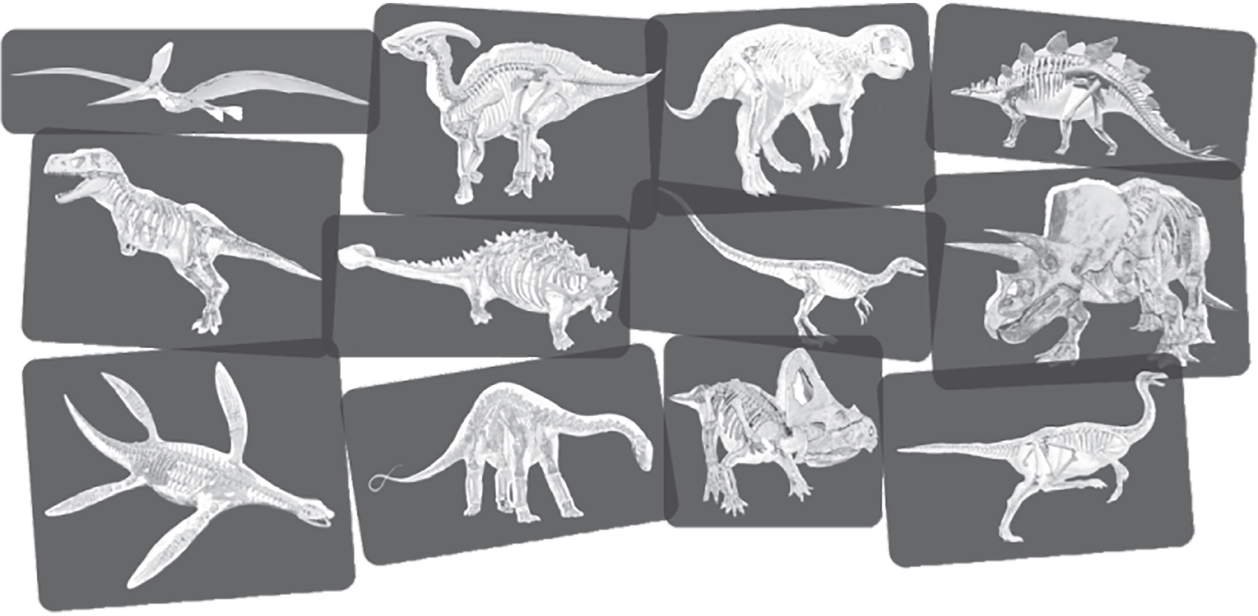 59240 Discover Dinosaurs XRAYS-300dpi