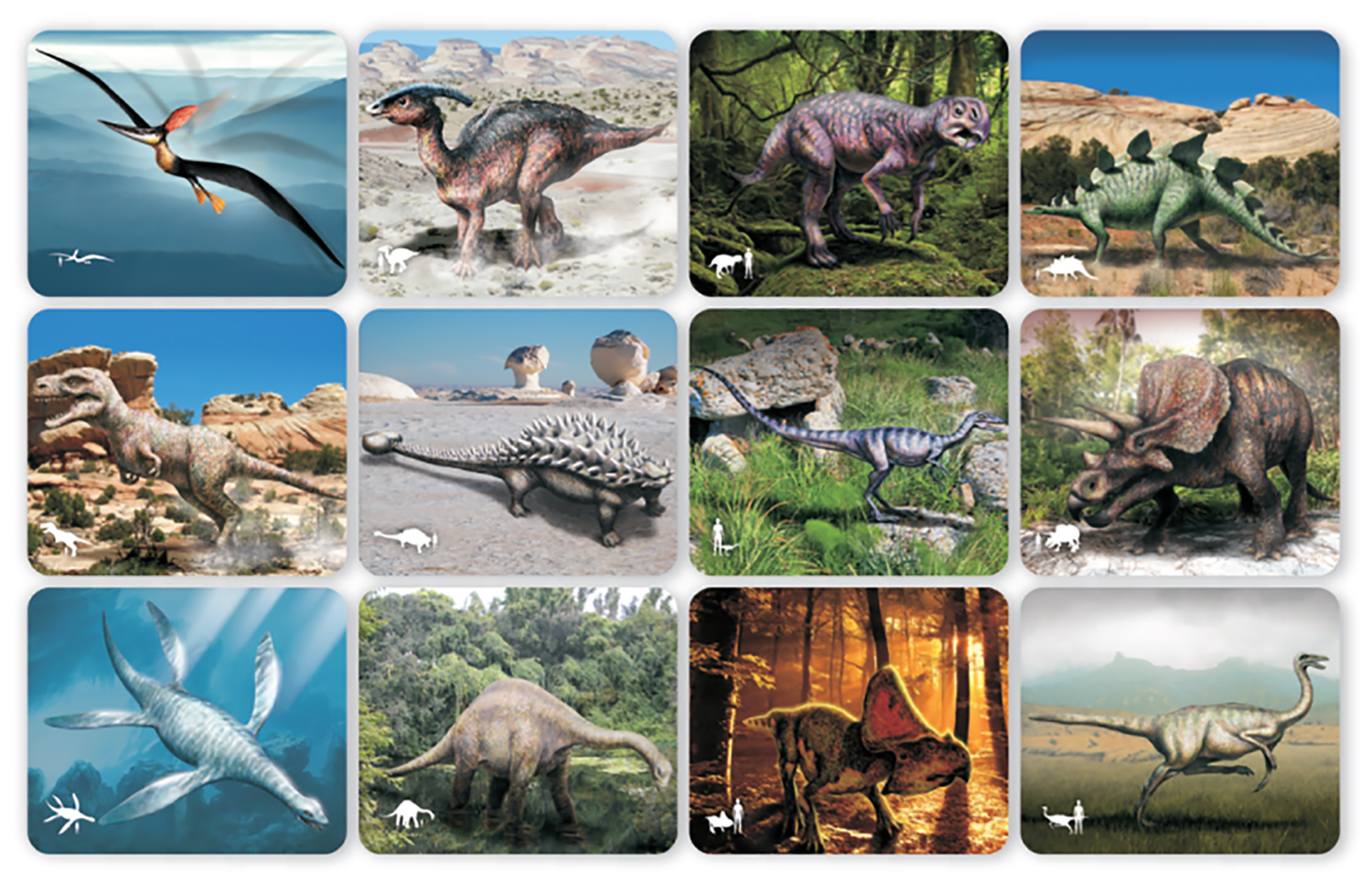 59240 Discover Dinosaurs PICTURE CARDS-300dpi