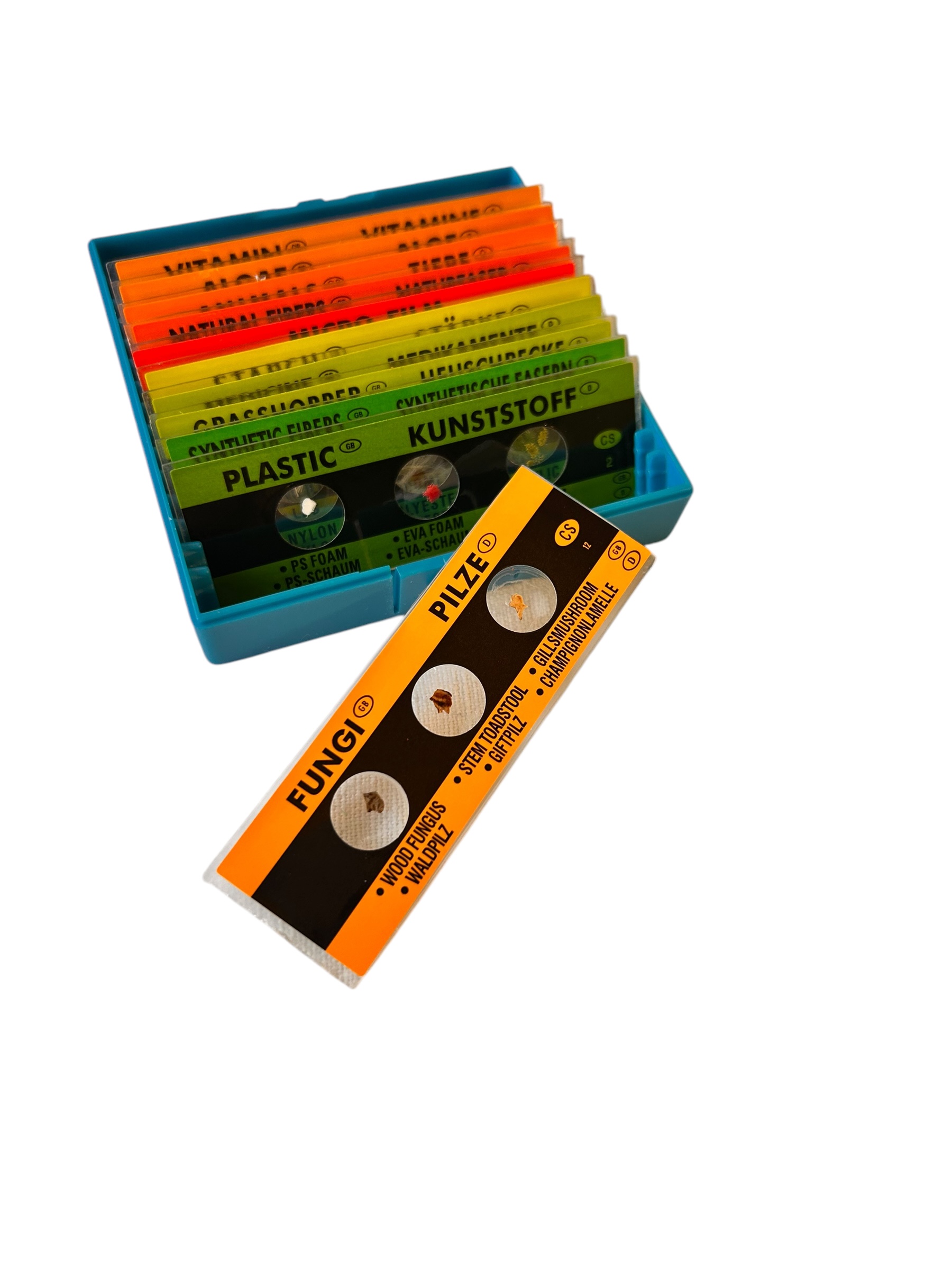 Kit de 12 lames microscopiques préparées pour enfants