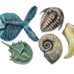 moules fossiles Roylco 3