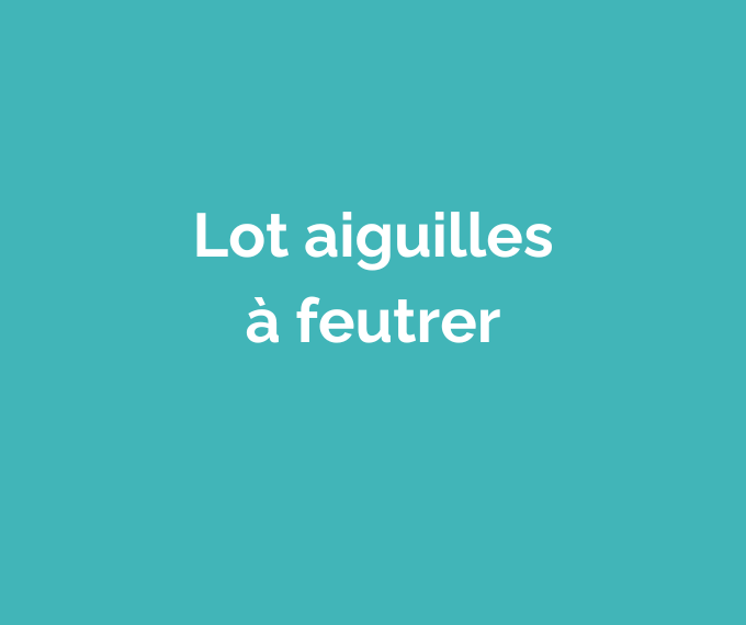Lot d'aiguilles à feutrer réservé Clément