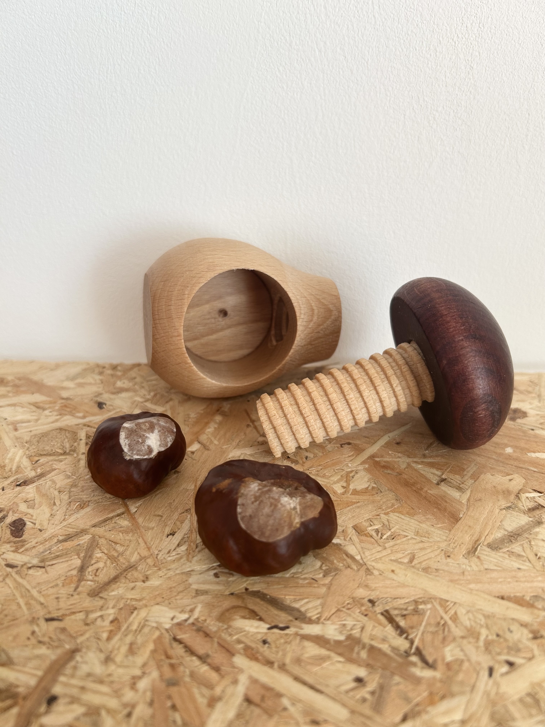 casse noix champignon marron