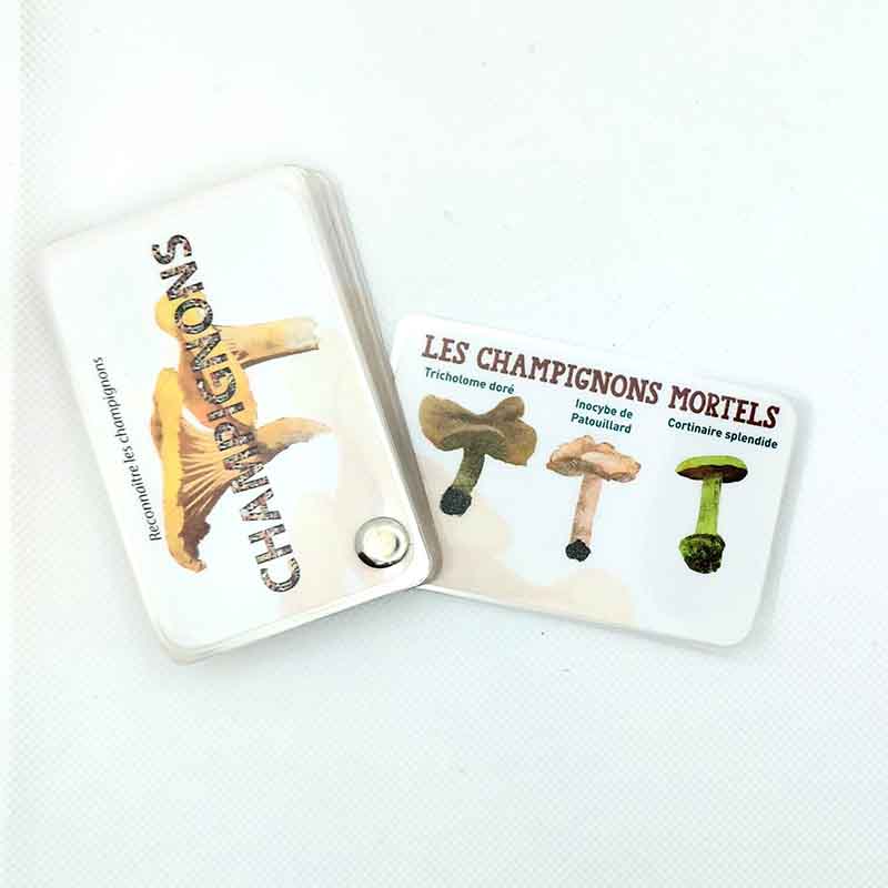 champignons-mortels carnets pierre 2
